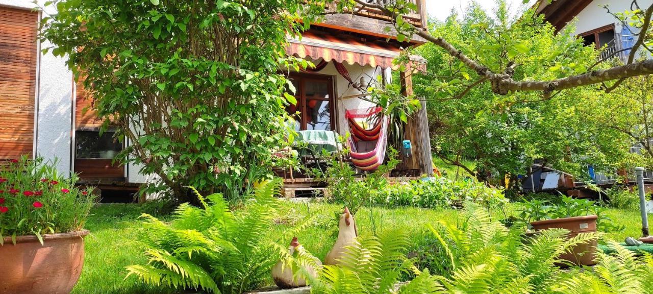 Ferienwohnung Chiemgau - Erleben ซีกส์ดอร์ฟ ภายนอก รูปภาพ